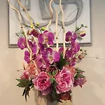 Senyor Hotel
